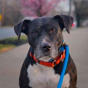 Winnifred thumbnail 3