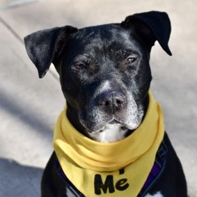 Winnifred thumbnail 4