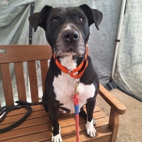 Winnifred thumbnail 5