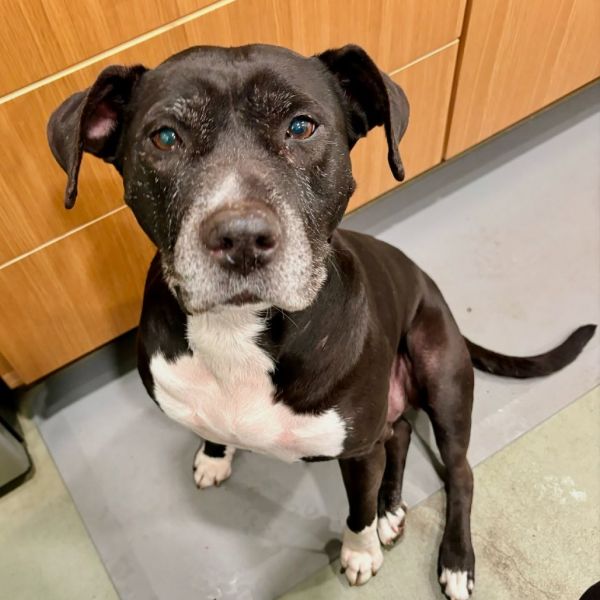 Winnifred thumbnail 6