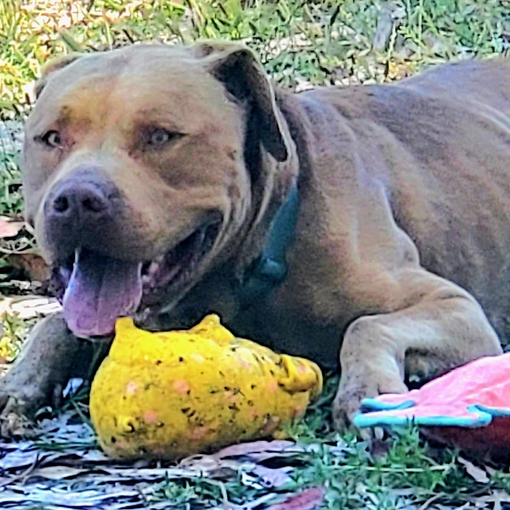 Sampson