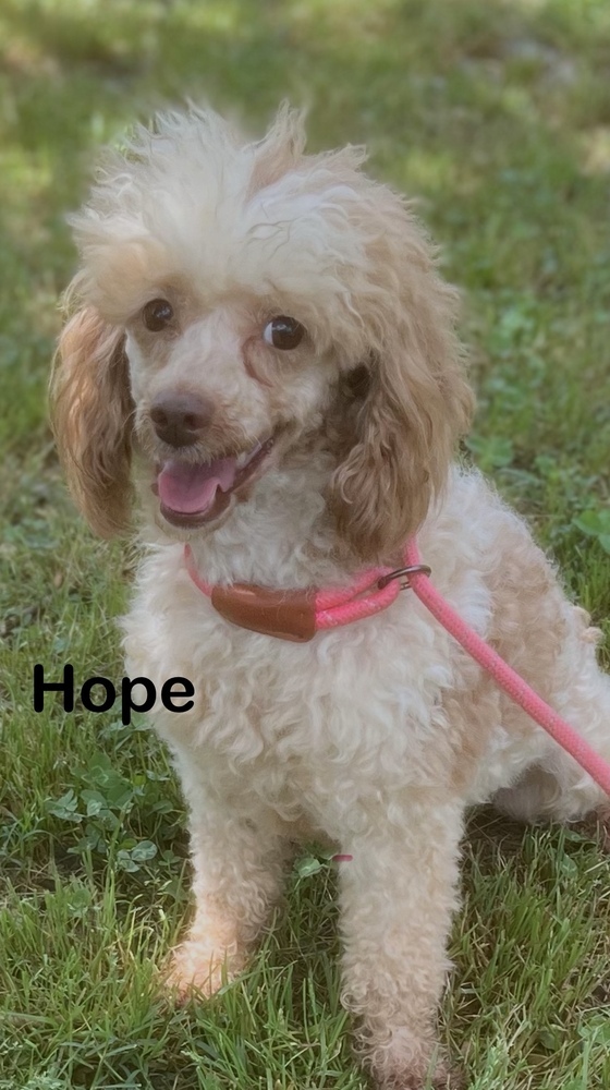 Hope