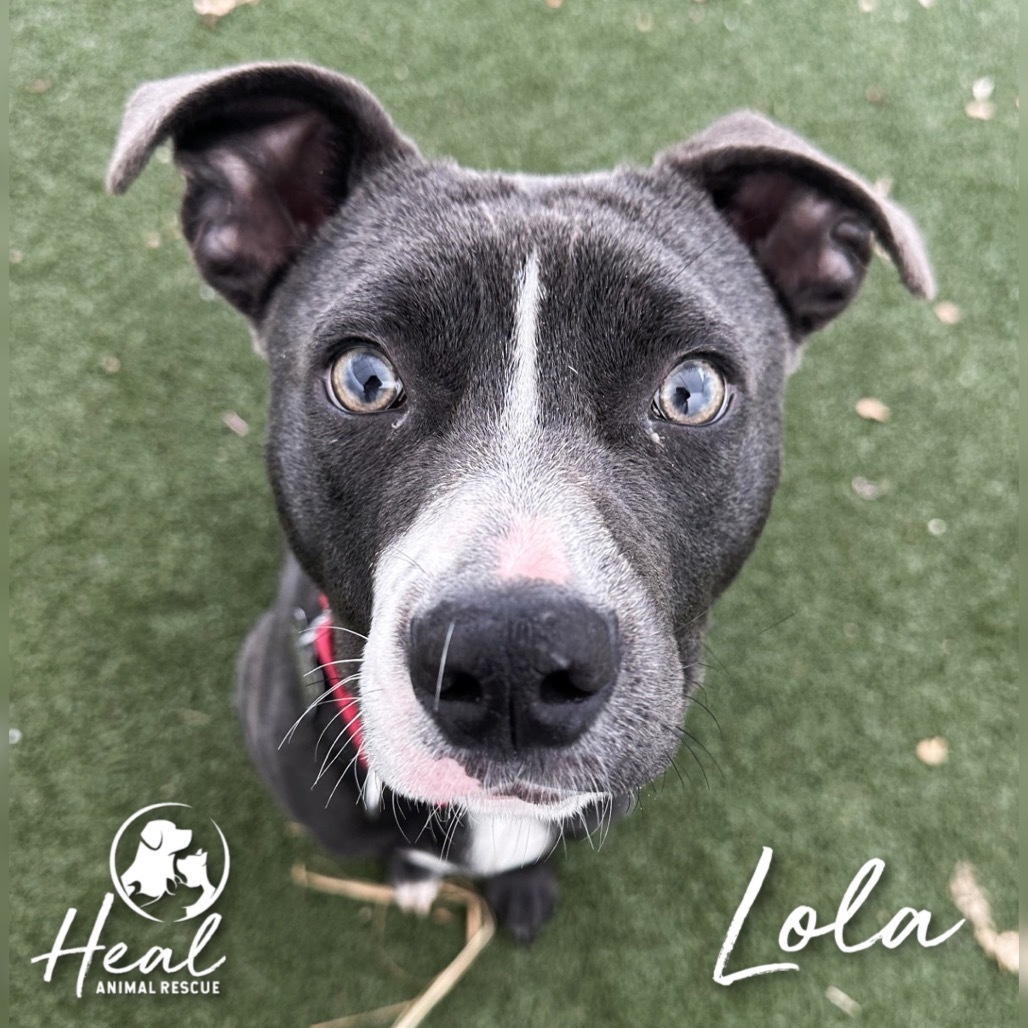 Lola