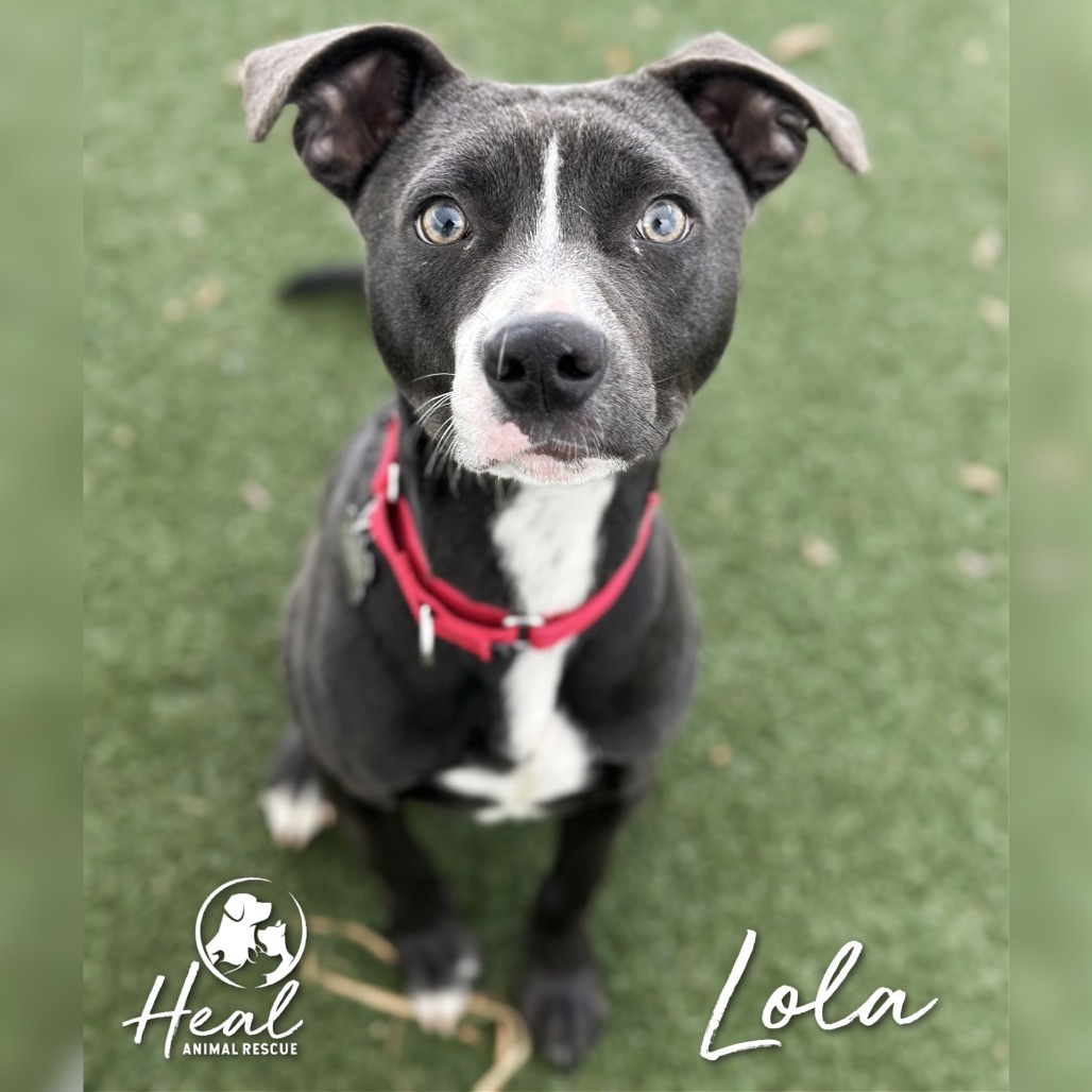 Lola