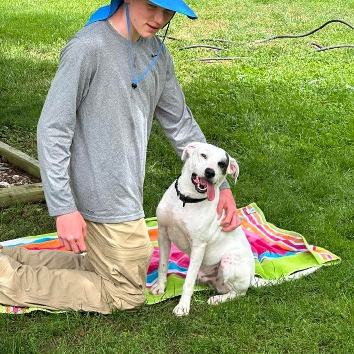 Hanks