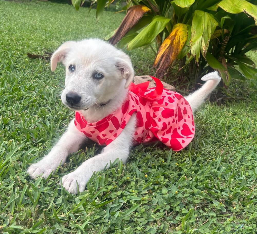 Lucy Loo