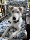 Lucy Loo photo 6