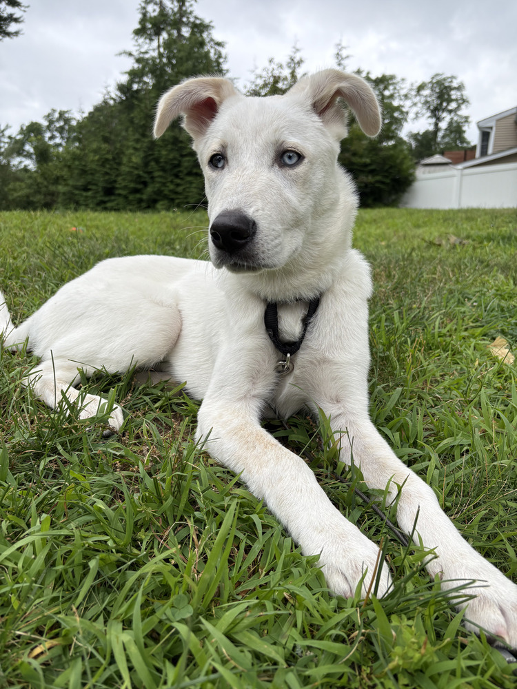 Lucy Loo
