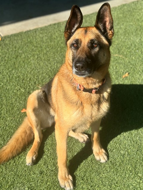 ATHENA
