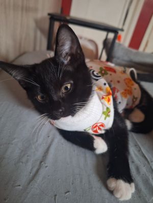 Zina