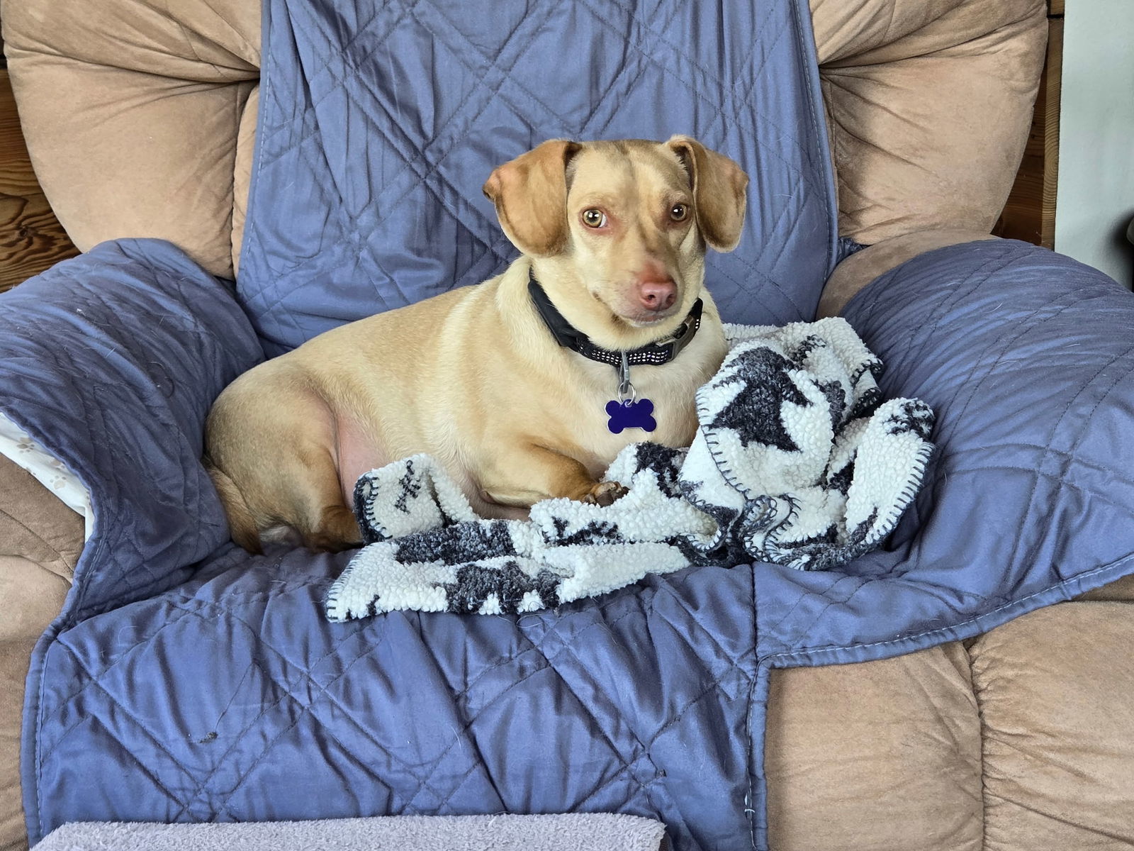 Sam