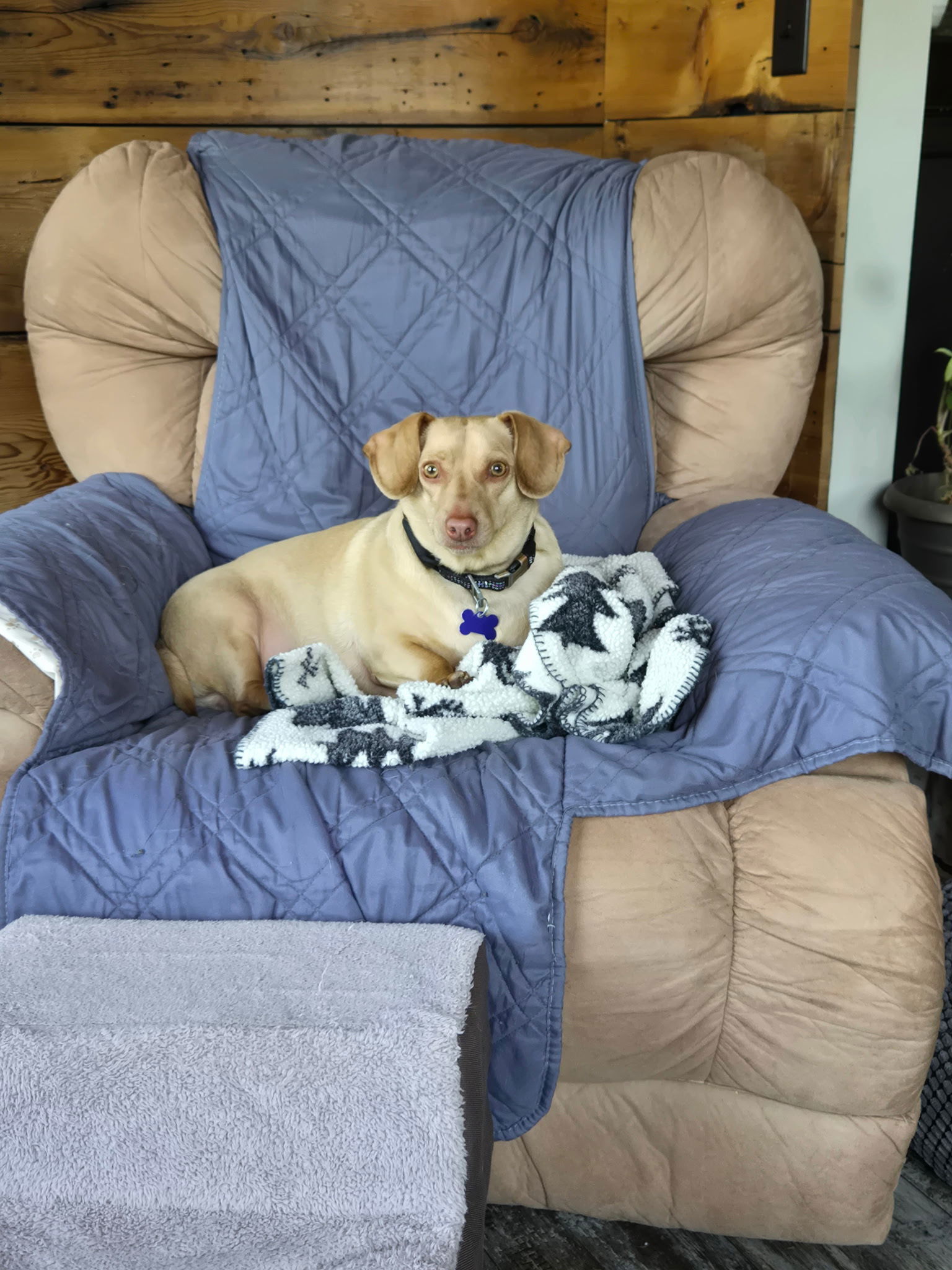 Sam