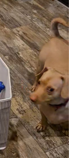 Sam