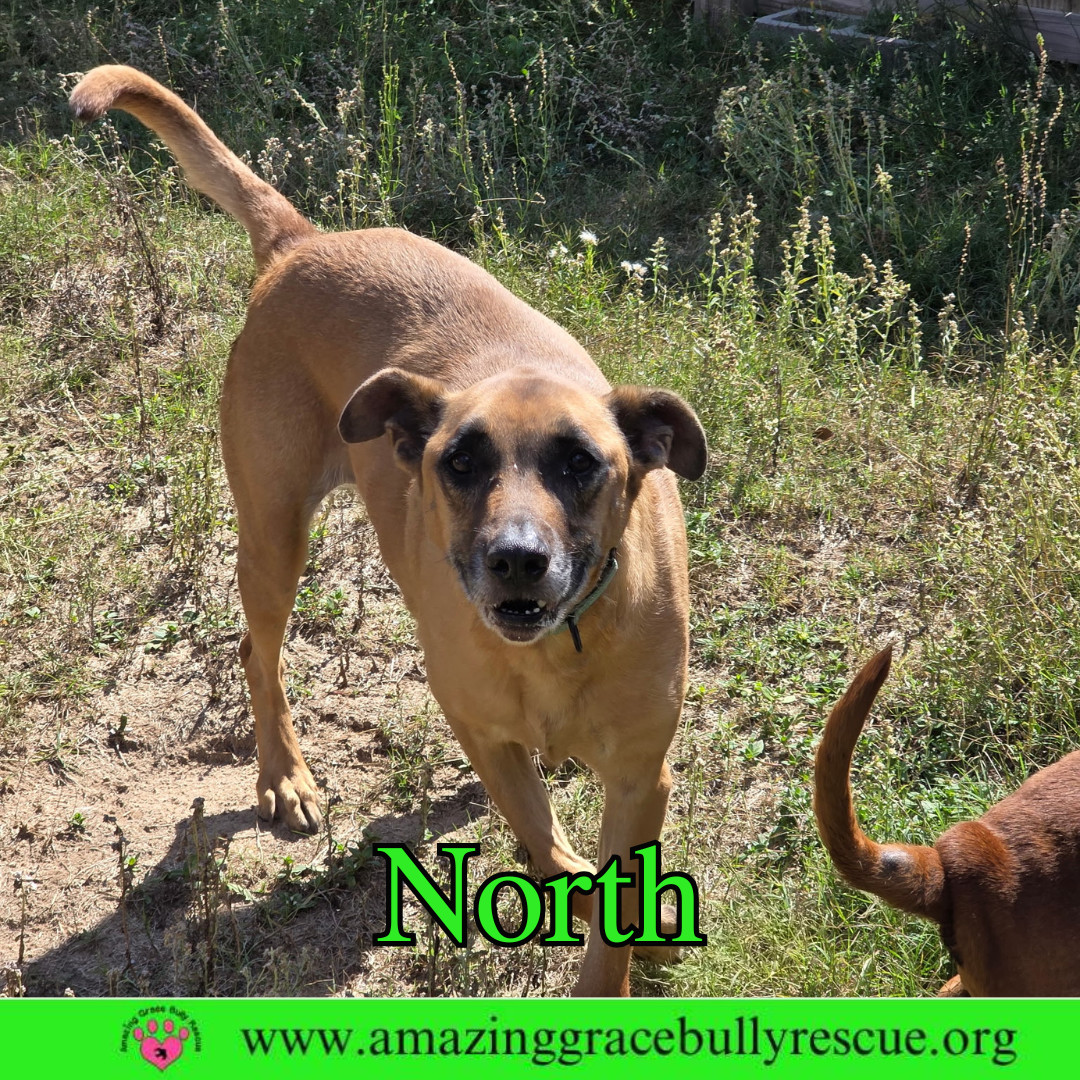 North