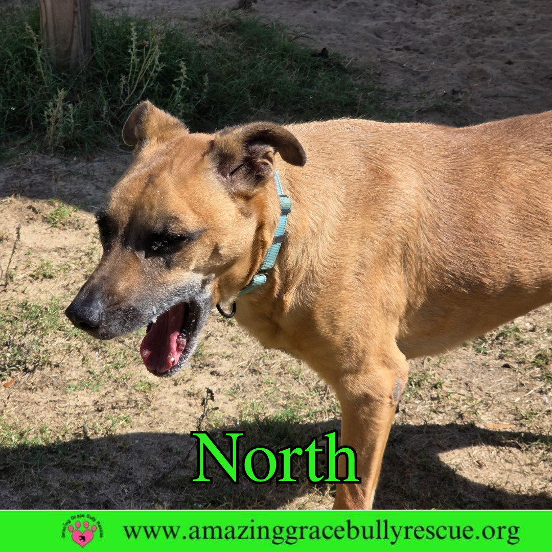 North