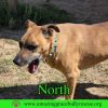 North photo 3