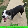 Argos photo 3