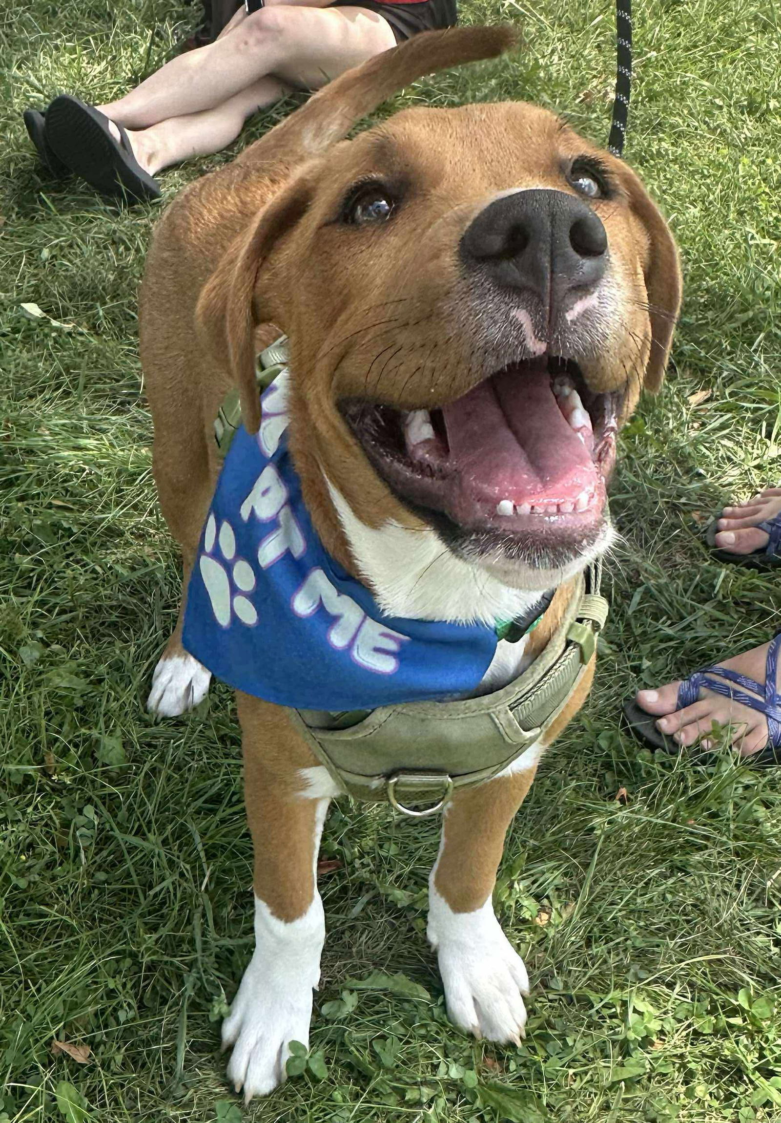Cutie Rudy