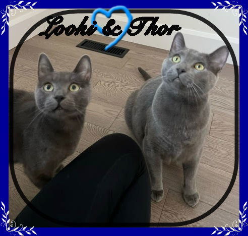 LOOKI & THOR
