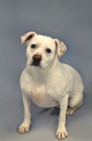 Lady - A Heart Full of Hope Waiting for You Life hasnt always been kind to Lady but if you