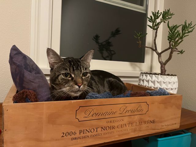 Linus