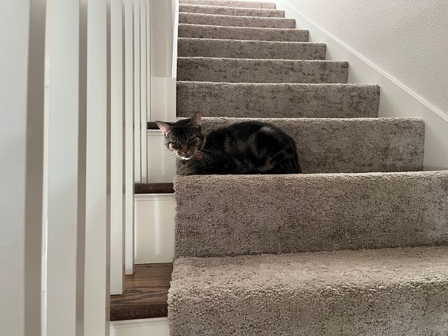 Linus