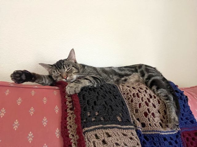 Linus
