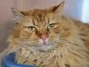 Samwise photo 2
