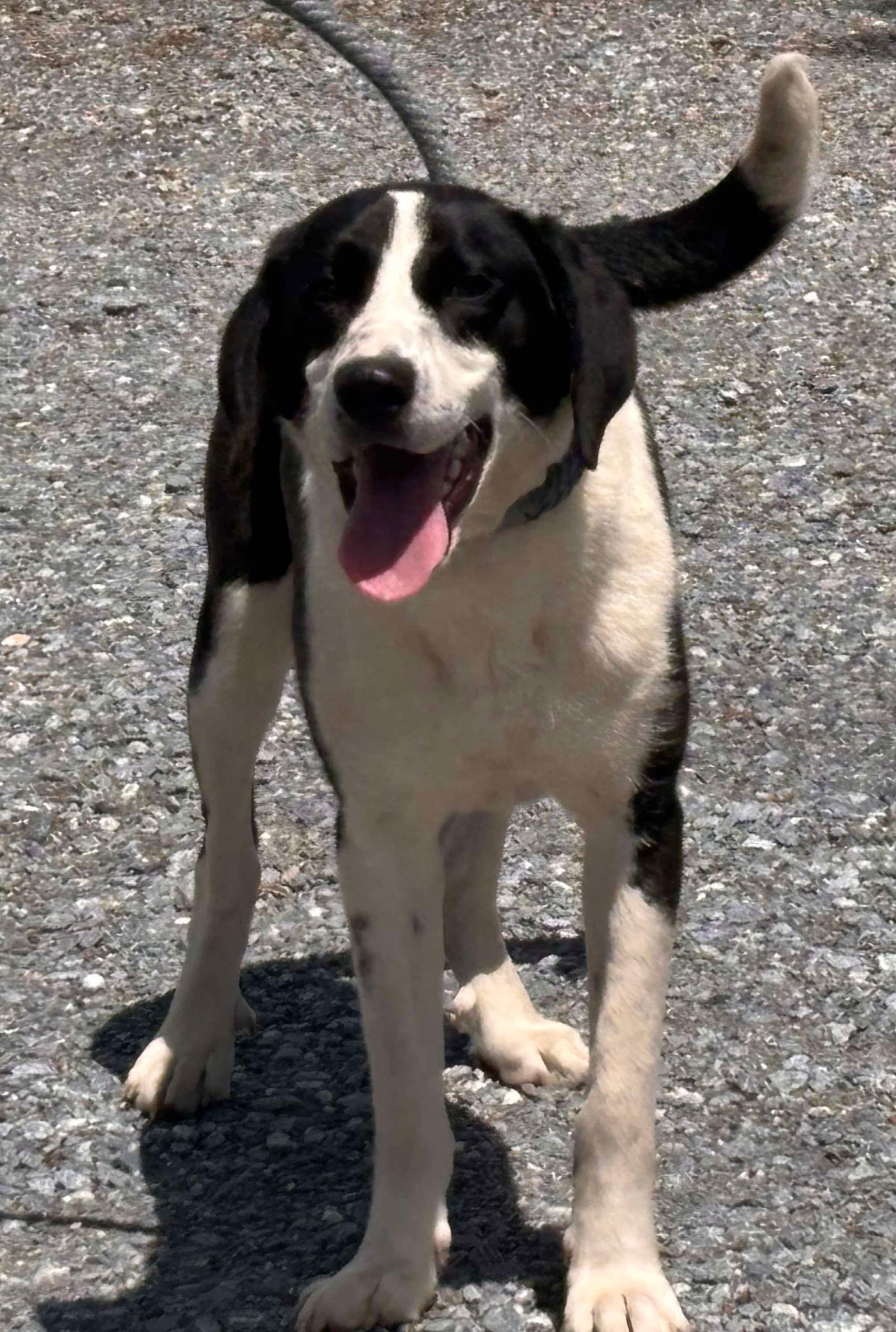 Semi - At shelter available 5/8