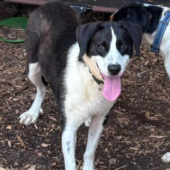 Semi: At shelter