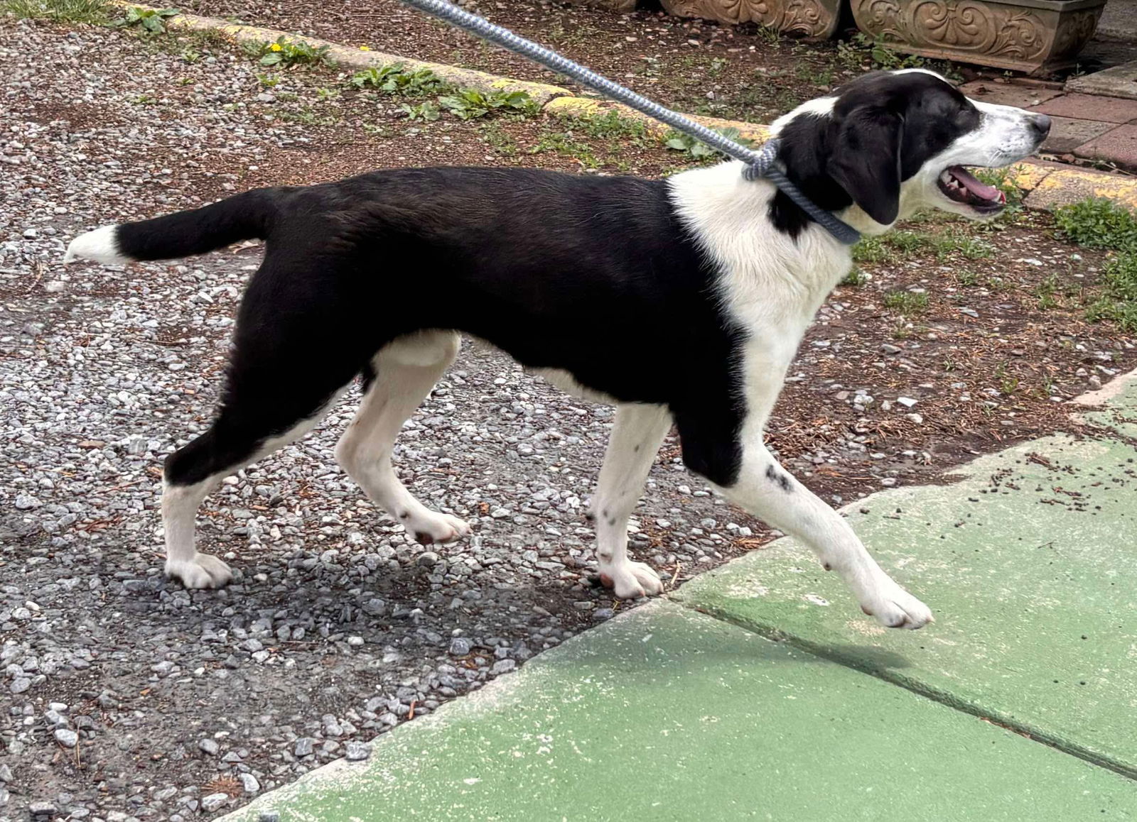 Semi - At shelter available 5/8