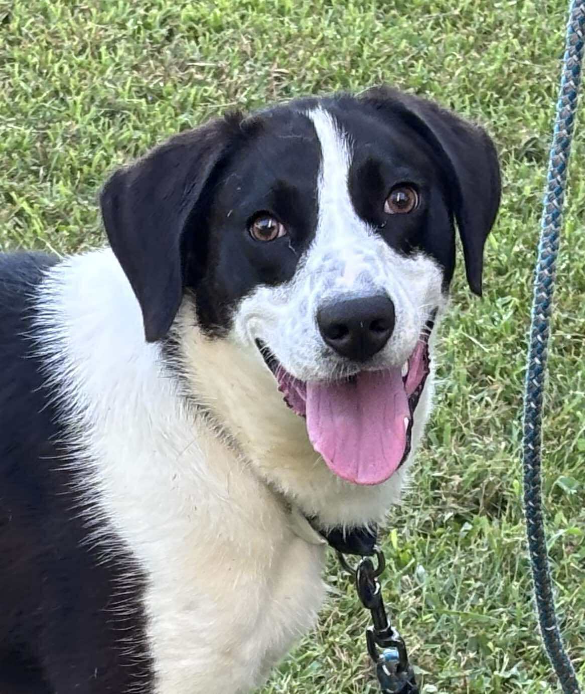 Semi: At shelter
