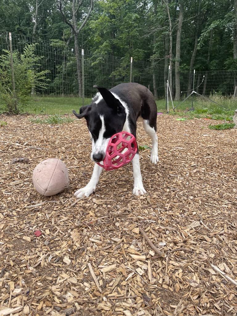 Semi: At shelter