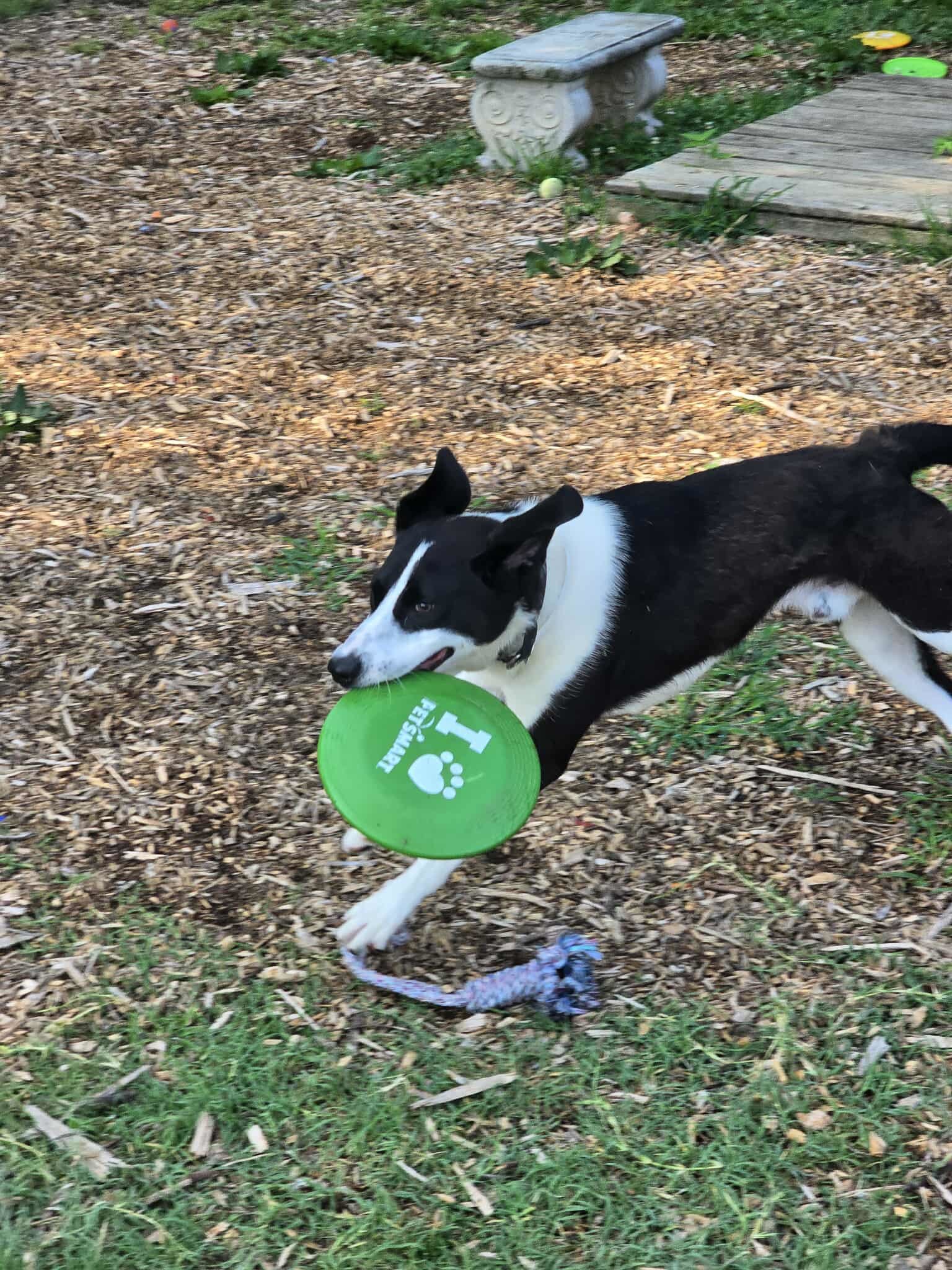 Semi: At shelter
