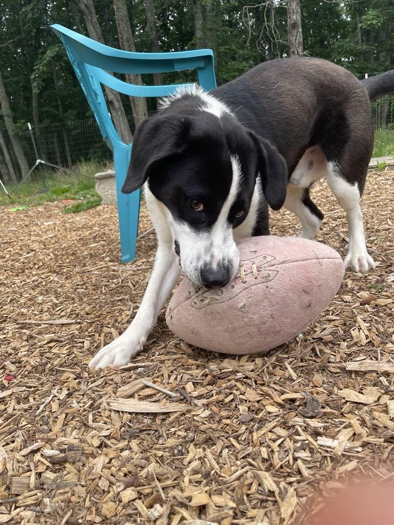 Semi: At shelter