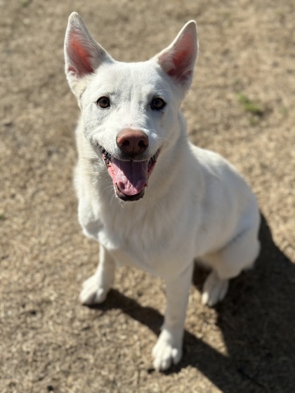 Blanca