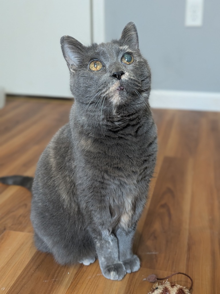 Lala