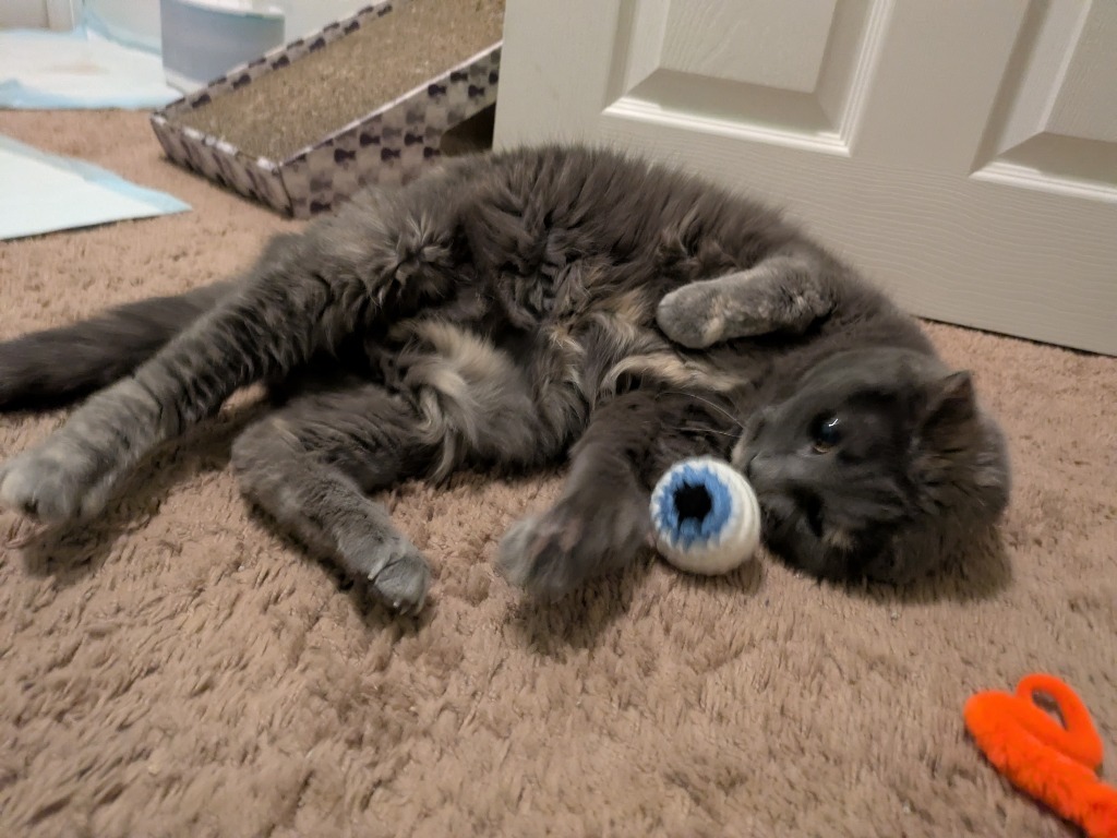 Lala