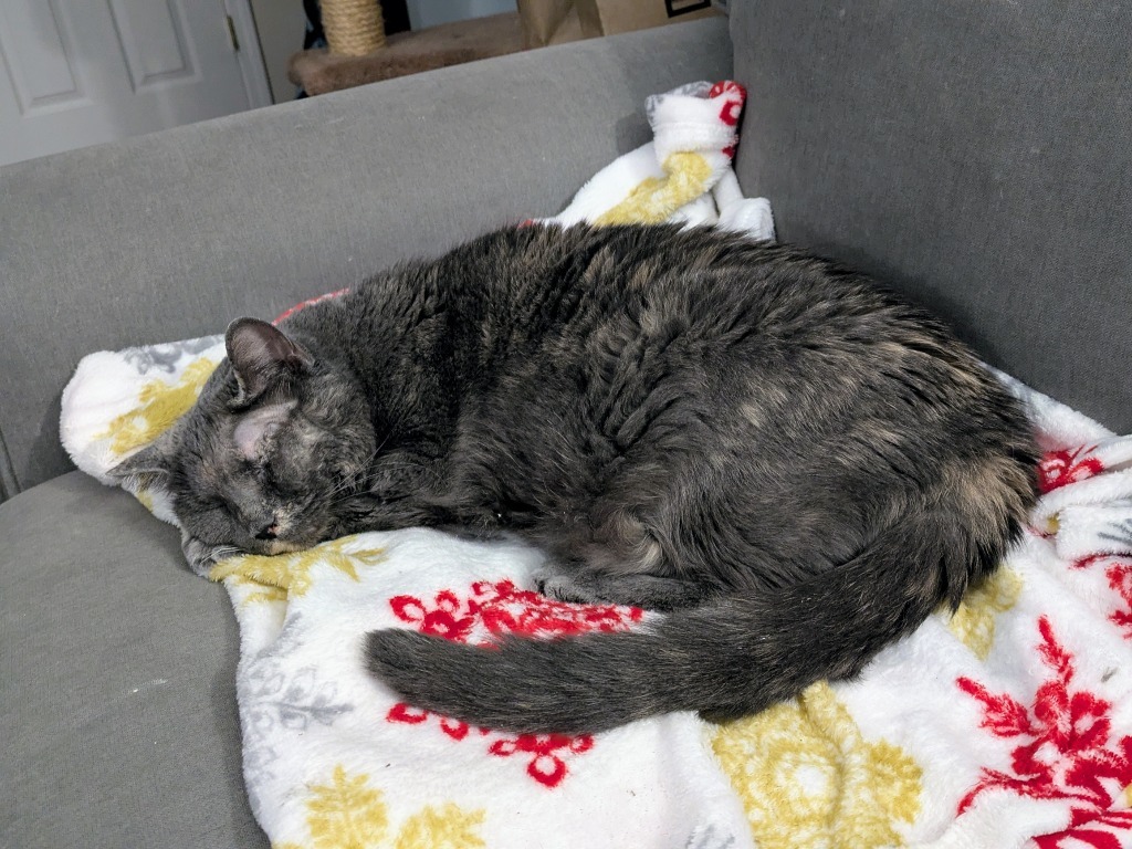 Lala