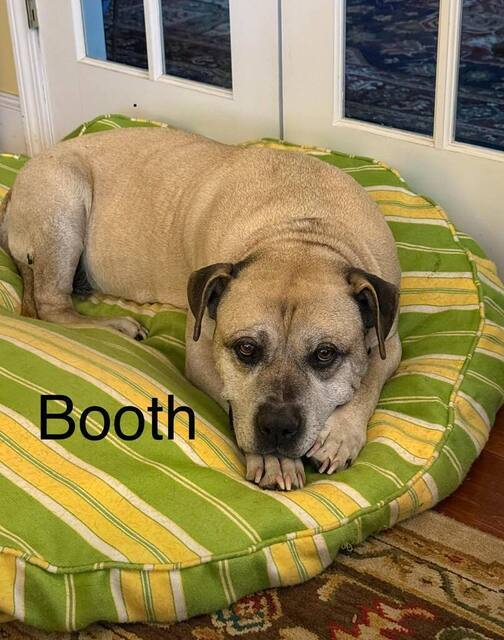 Booth thumbnail 4