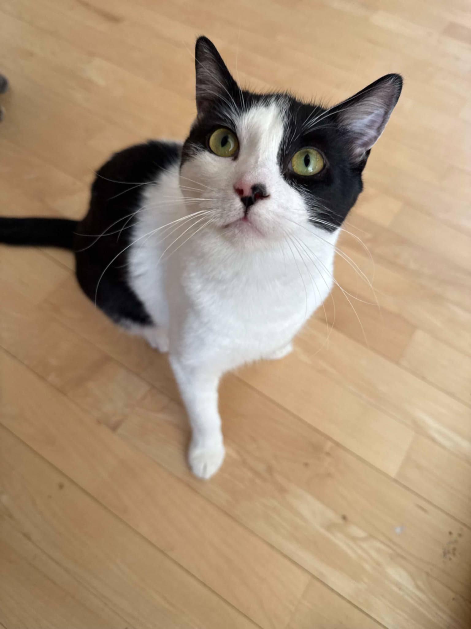 Sumi