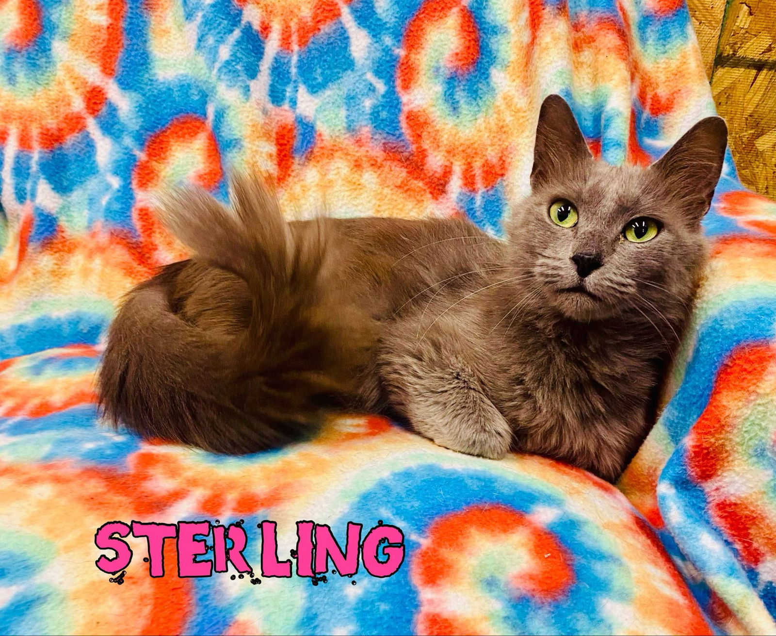 Sterling