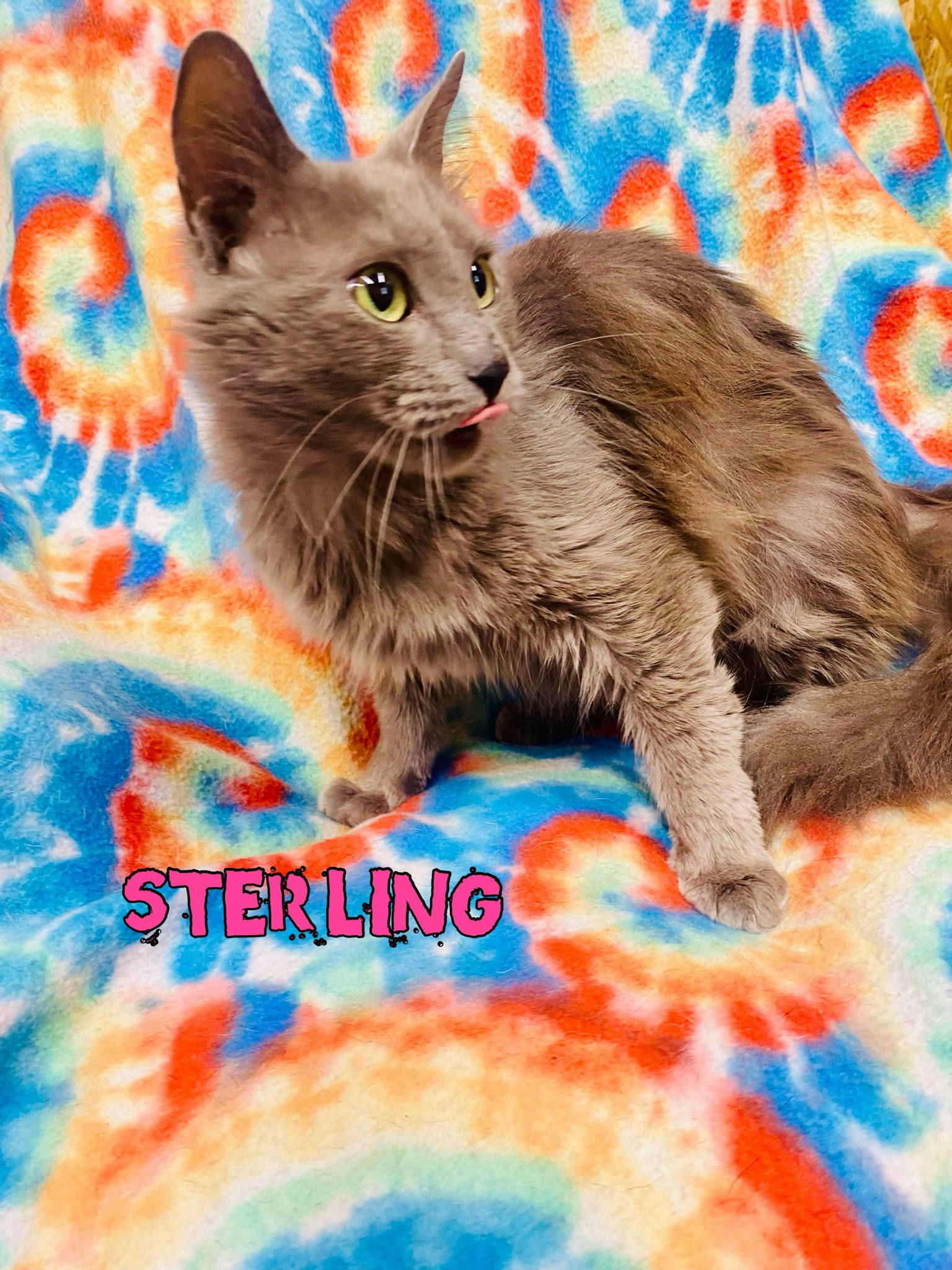 Sterling