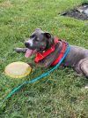 Gretta *FEE WAIVED* photo 2