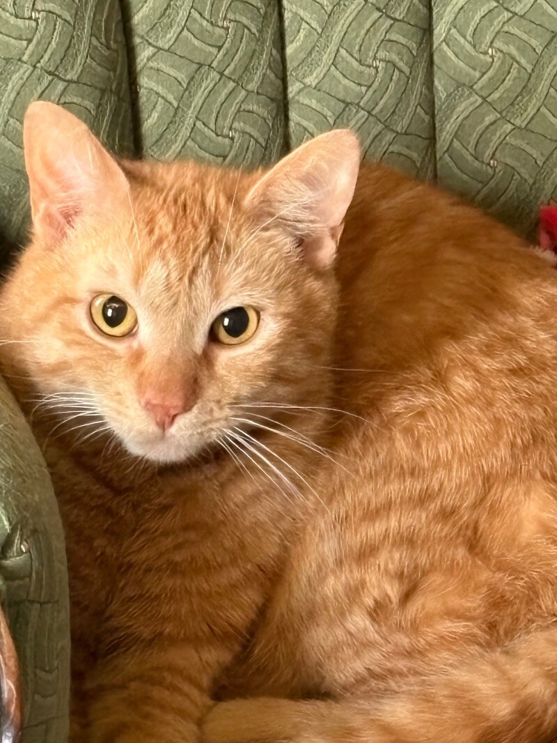 Marty