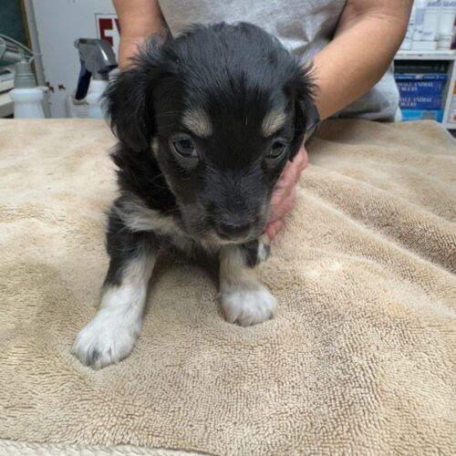 Asher photo 1