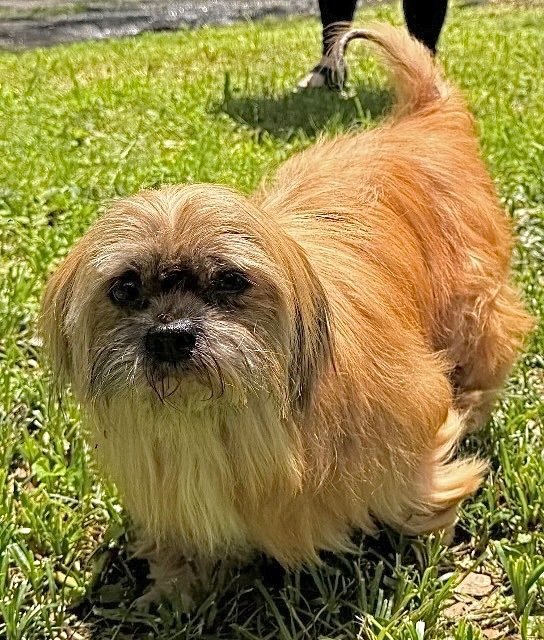 Chloe thumbnail 1