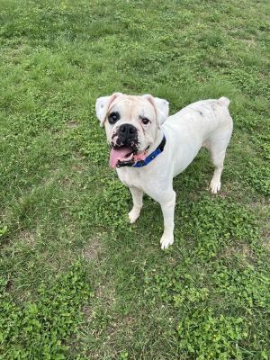 Wesson, Senior Male unknown
