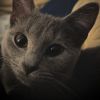Missy photo 1