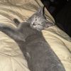 Missy photo 2
